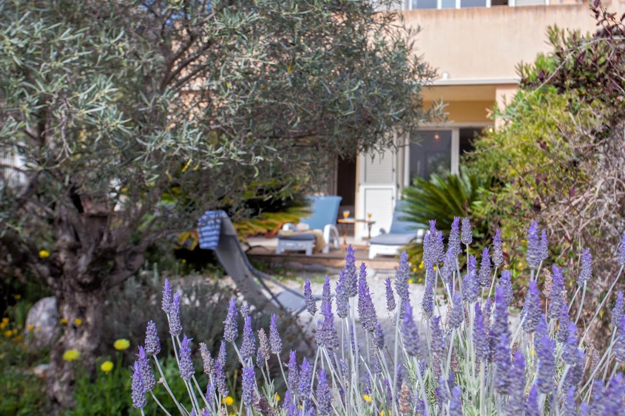 Casa Linda Au Calme Avec Jardin A 900 M Port Et Centre De Calvi Apartment *